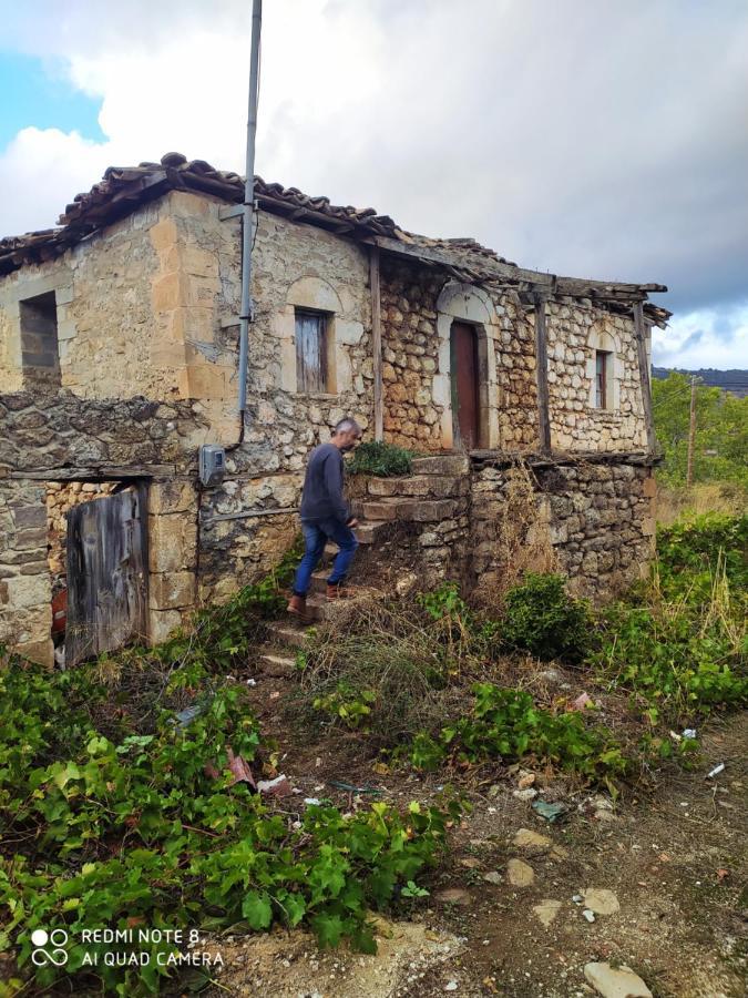 Ξενώνας Ελαία Μέση Συνοικία Τρικάλων Εξωτερικό φωτογραφία