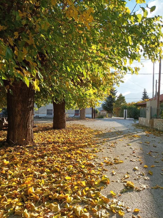Ξενώνας Ελαία Μέση Συνοικία Τρικάλων Εξωτερικό φωτογραφία