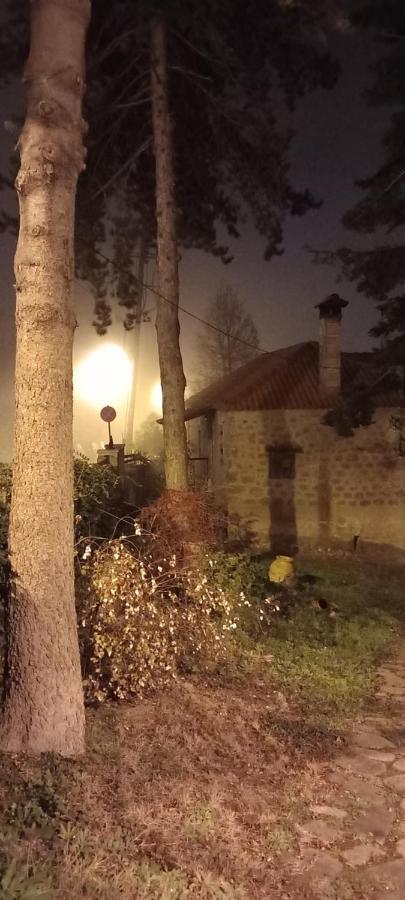 Ξενώνας Ελαία Μέση Συνοικία Τρικάλων Εξωτερικό φωτογραφία